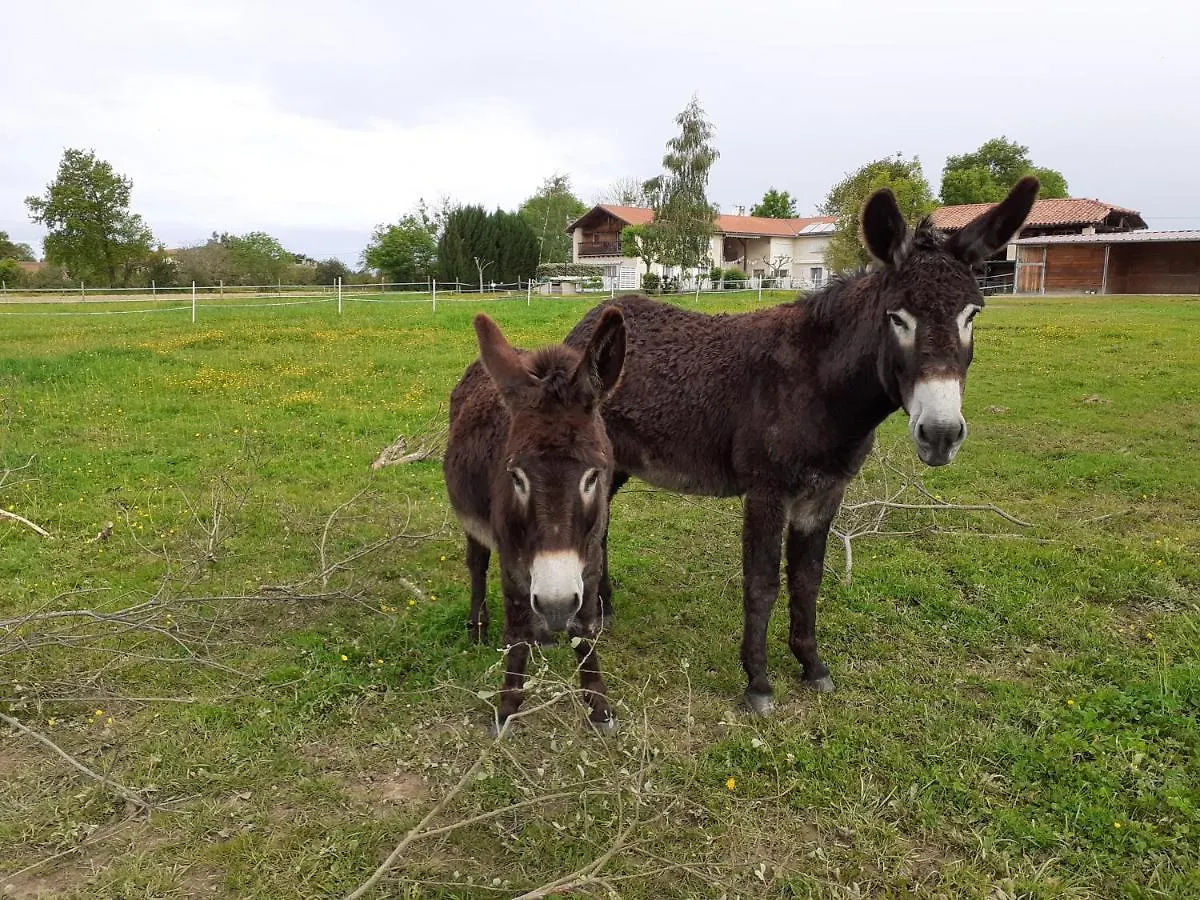 Gite En Comminges Franquevielle Holiday home