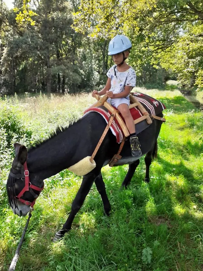 Gite En Comminges Franquevielle