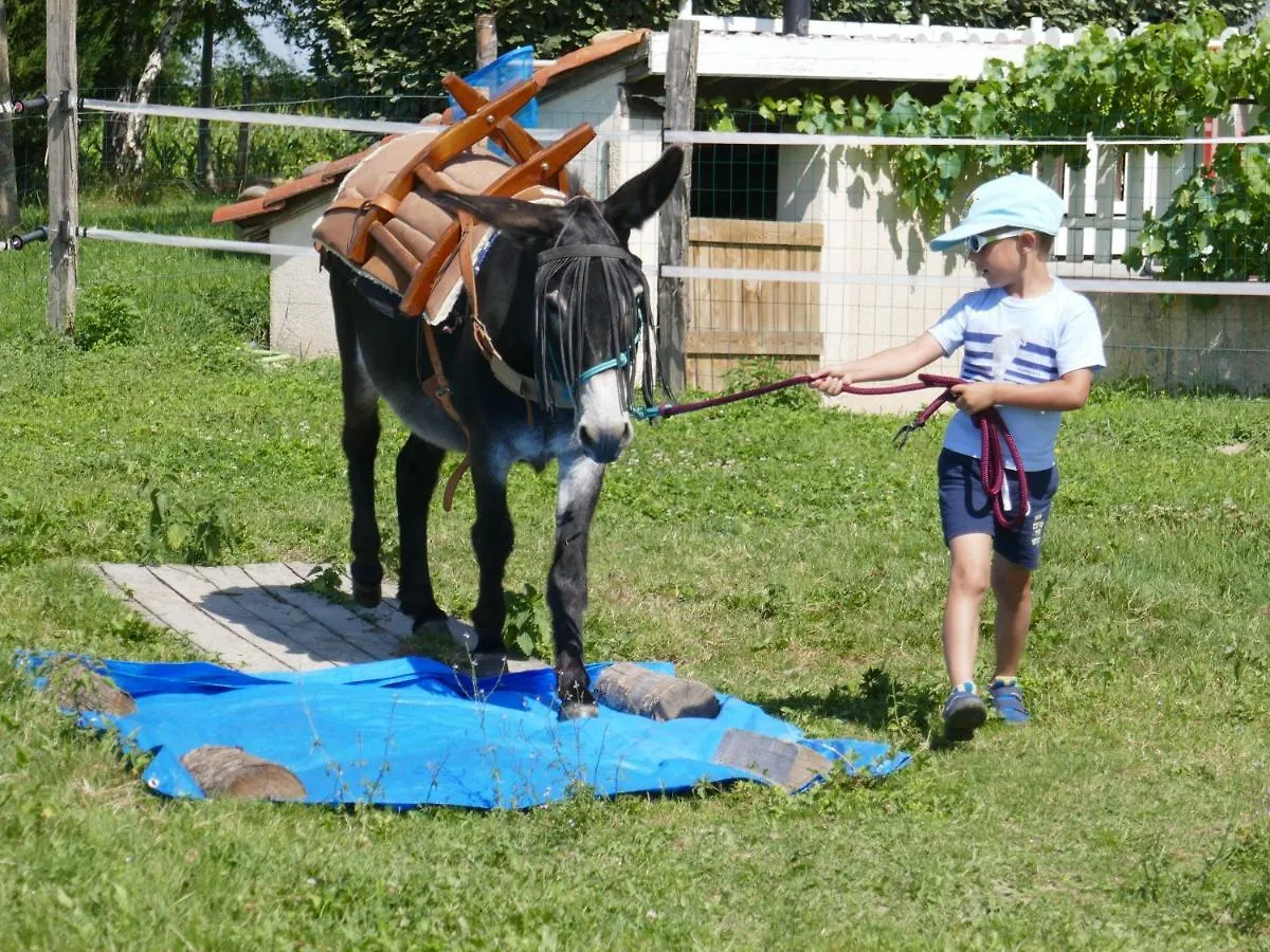 Hébergement de vacances Gîte En Comminges Franquevielle